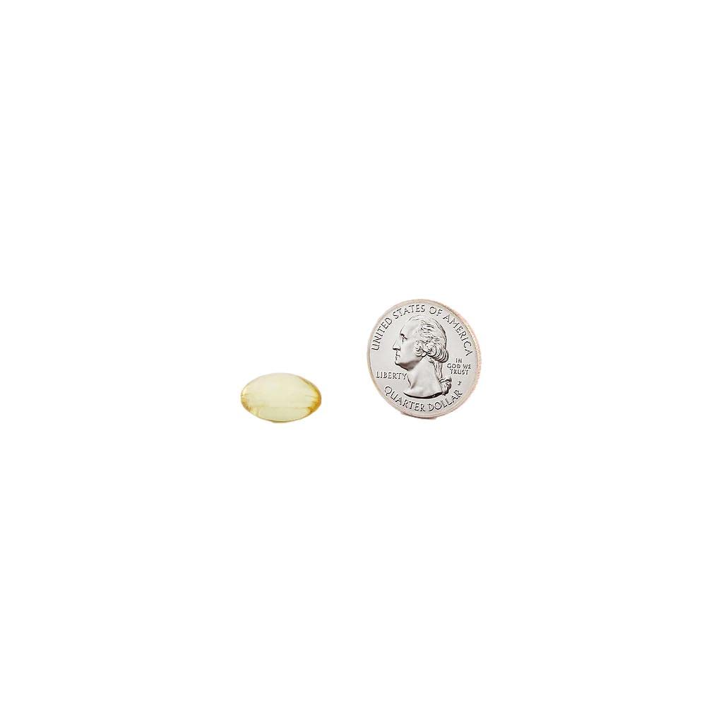 Fish Oil 1200 mg Softgels R381