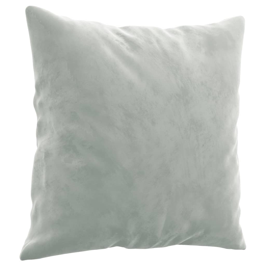 Light Gray Velvet 2 Piece Sofa Set with Throw Pillows M101