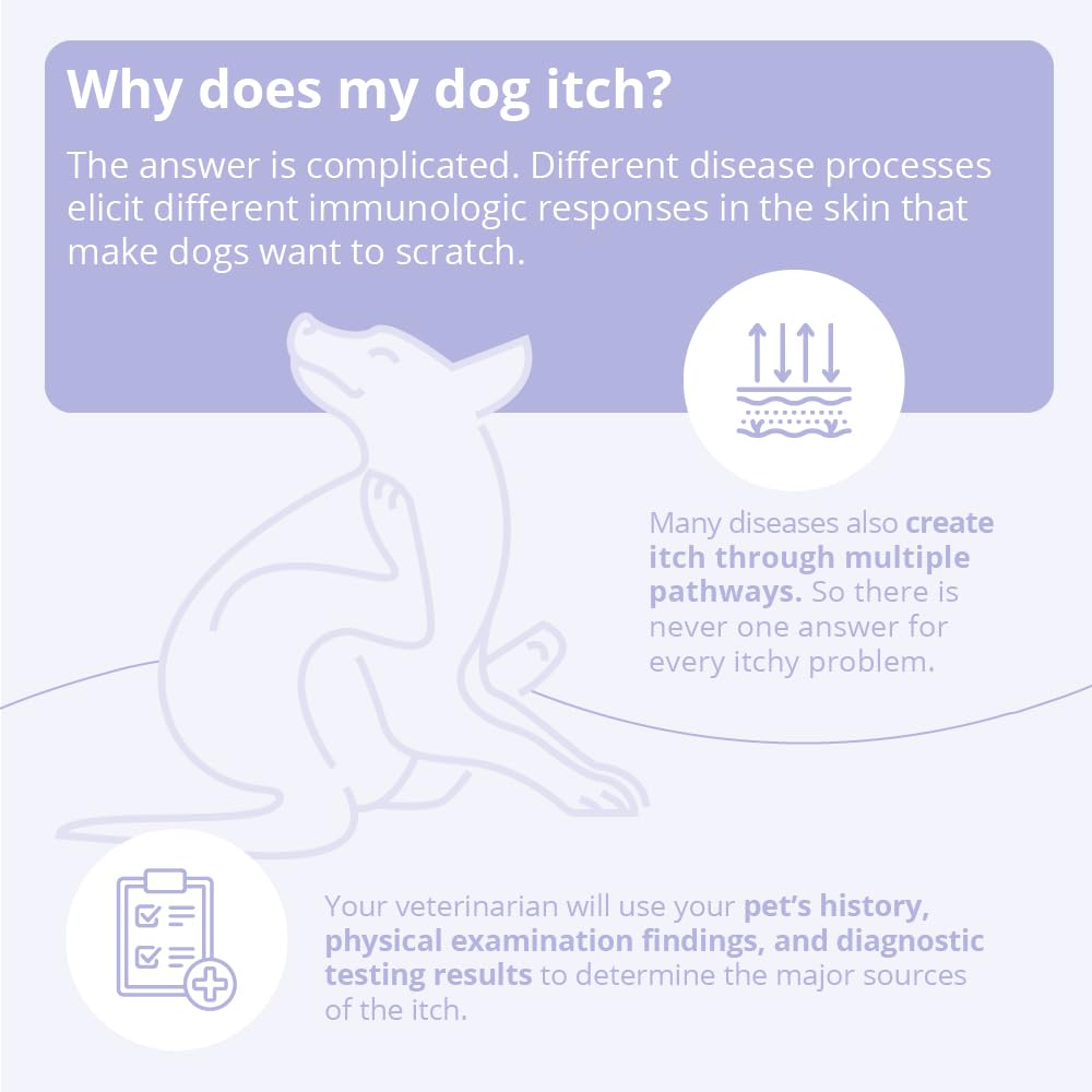 8 oz Dog and Cat Shampoo P946