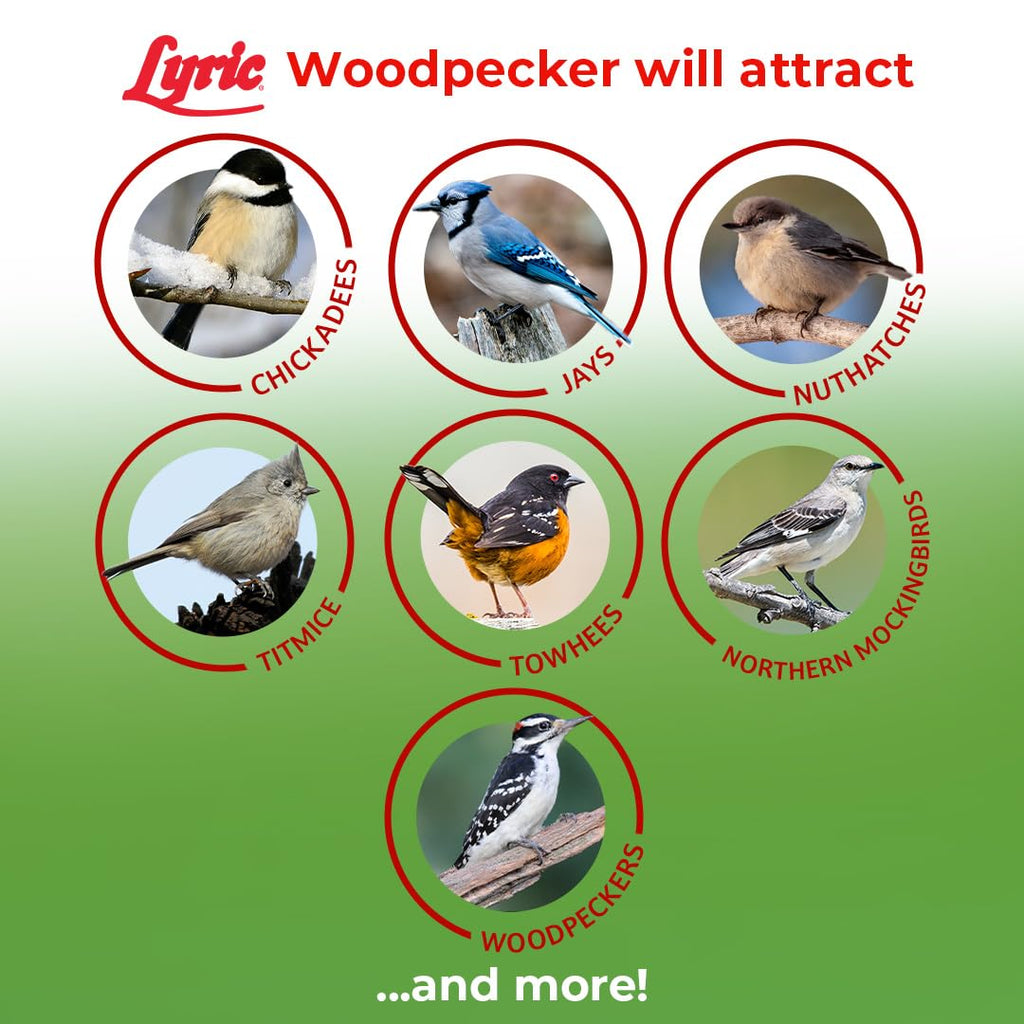 Woodpecker Wild Bird Seed with Nuts & Dried Fruit 20 lb Bag U870161