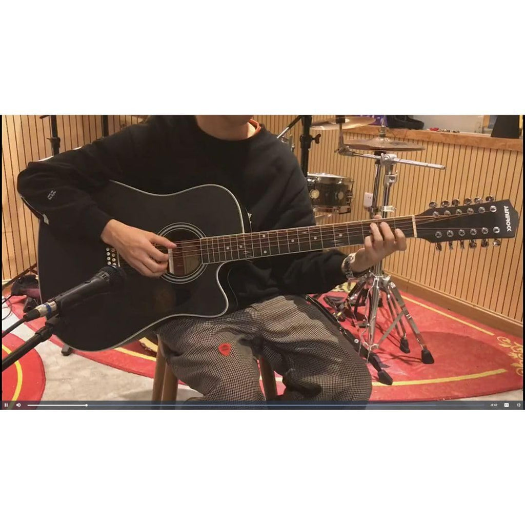 12-string Acoustic-electric Guitar Black U18288