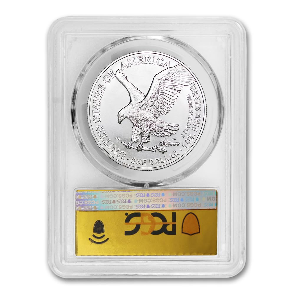 1 oz American Silver Eagle Coin MS-70 U20995