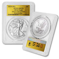 1 oz American Silver Eagle Coin MS-70 U20995