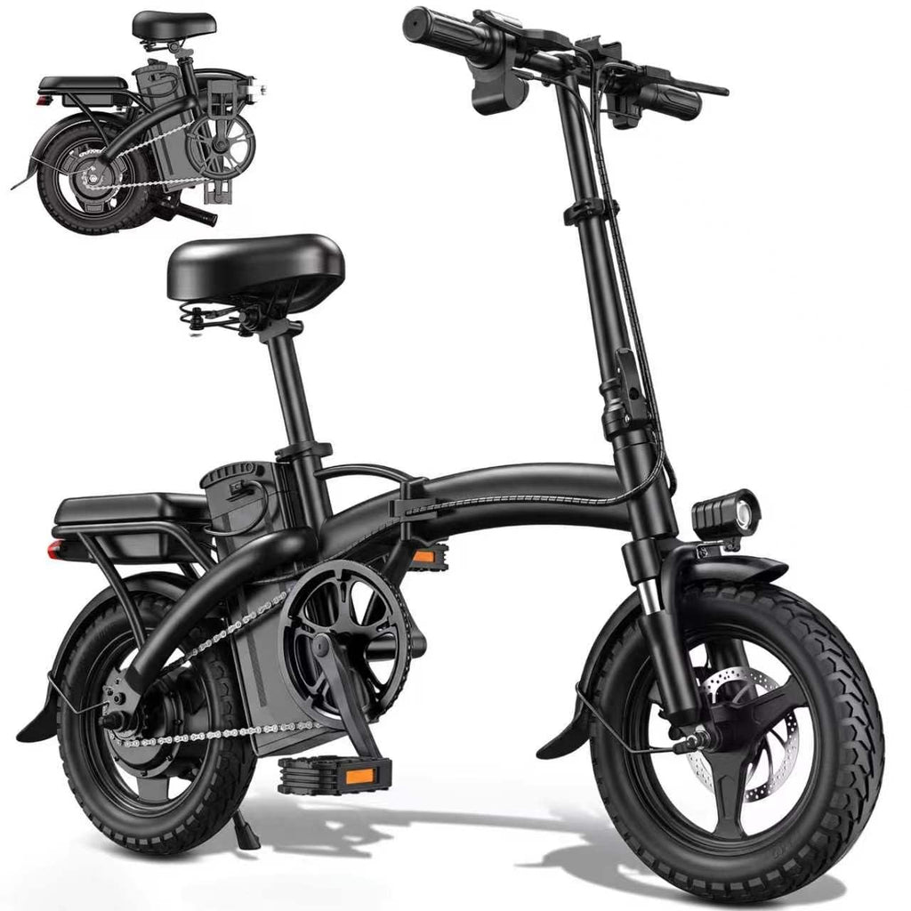 Folding Electric Bike N48265