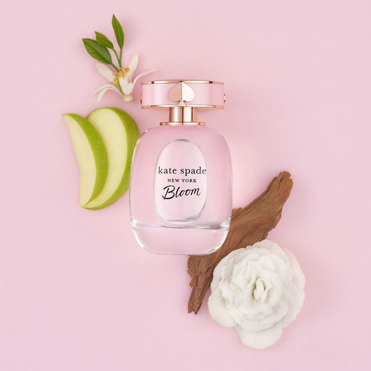 Eau de Toilette Women's Fragrance L393644
