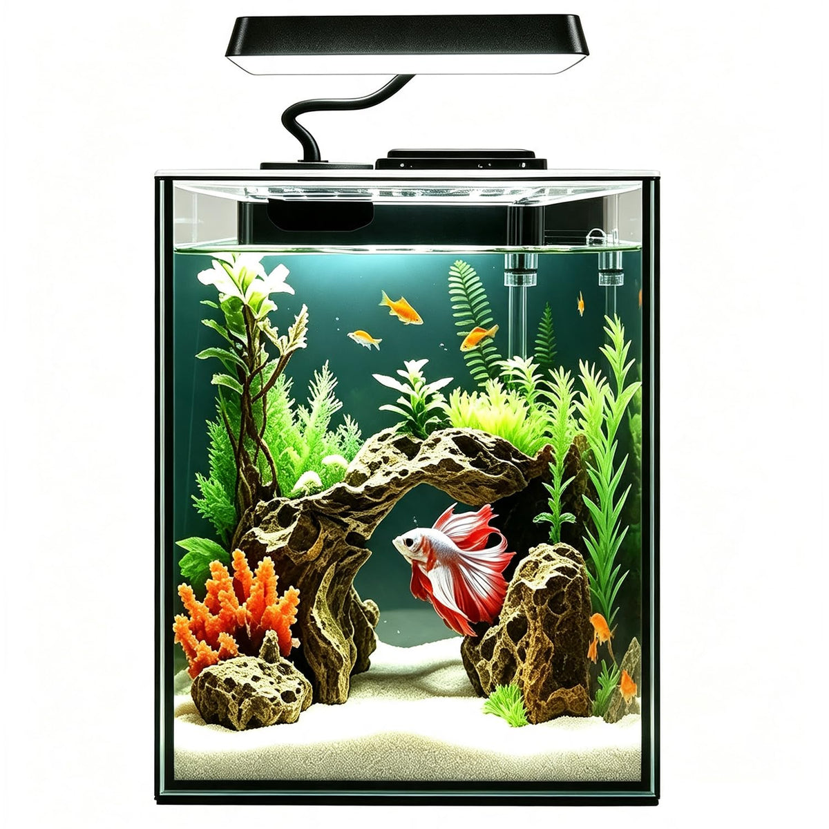 1.5 Gallon Glass Betta Aquarium Starter Kit with LED Light and Power Filter I5756