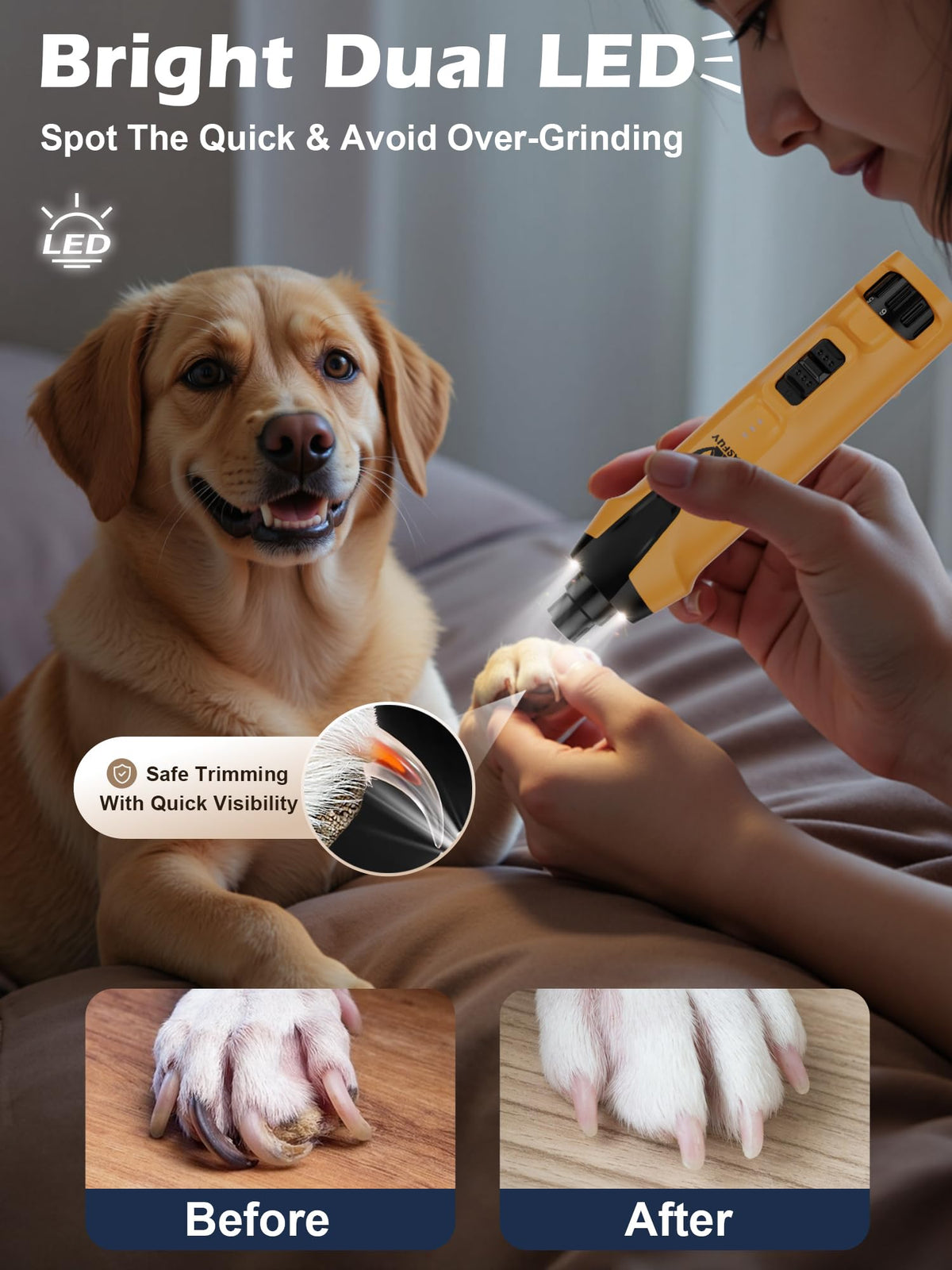 6-Speed Dog Nail Grinder with Dust Cap & 2 LED Lights & 2000mAh Battery T829