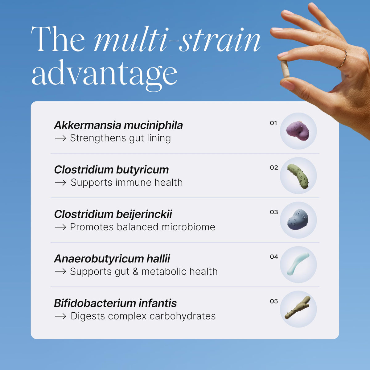 Multi-Strain Probiotic with Akkermansia muciniphila 30 Capsules S4086
