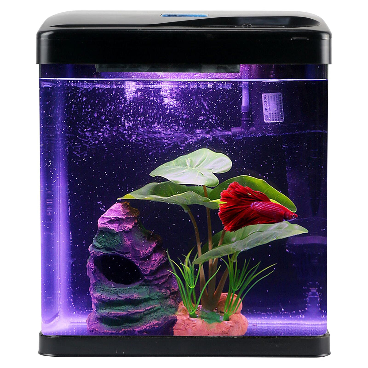 2 Gallon Self Cleaning Glass Betta Fish Tank with LED Light Z124