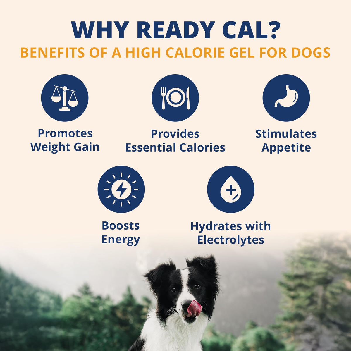 Electrolytes Gel for Dogs 3.5 Oz Tube C114382