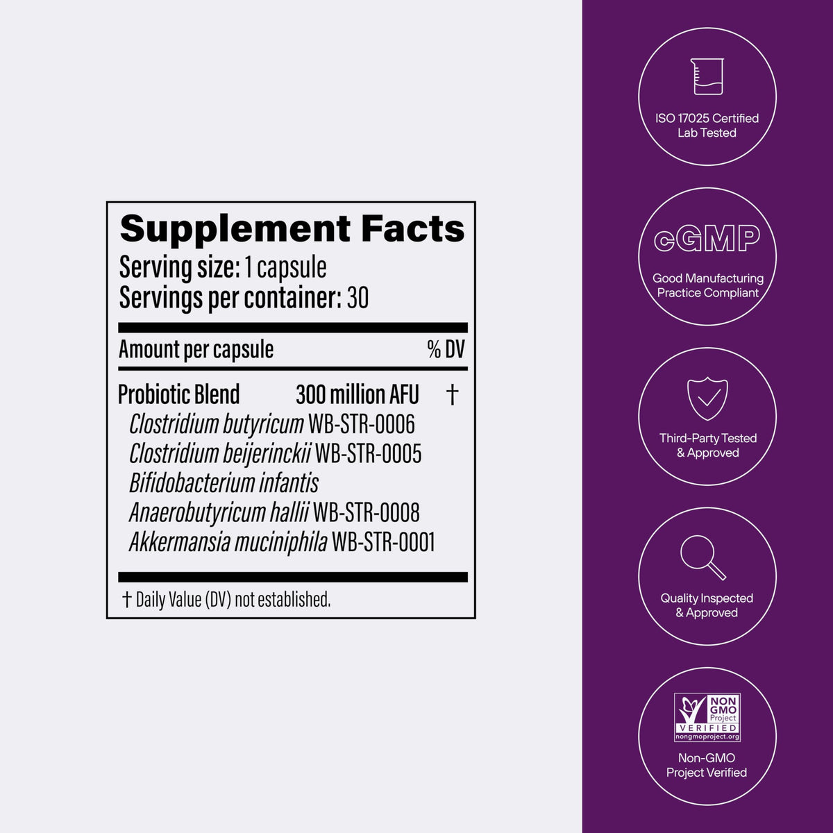 Multi-Strain Probiotic with Akkermansia muciniphila 30 Capsules S4086