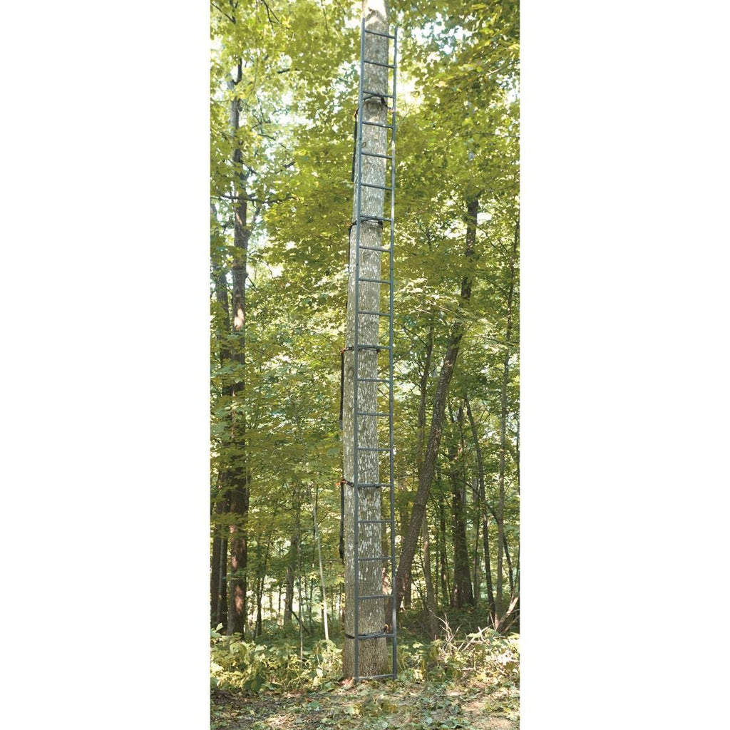 Ladder Climbing Equipment G782