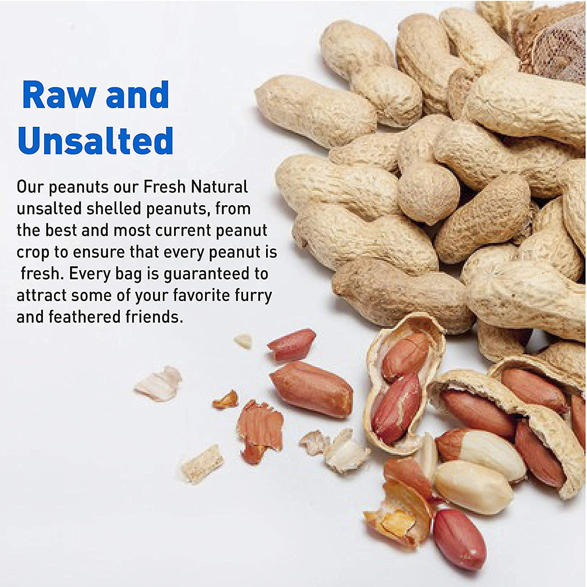 25 Pound Bag Raw Unsalted In-Shell Peanuts R168532