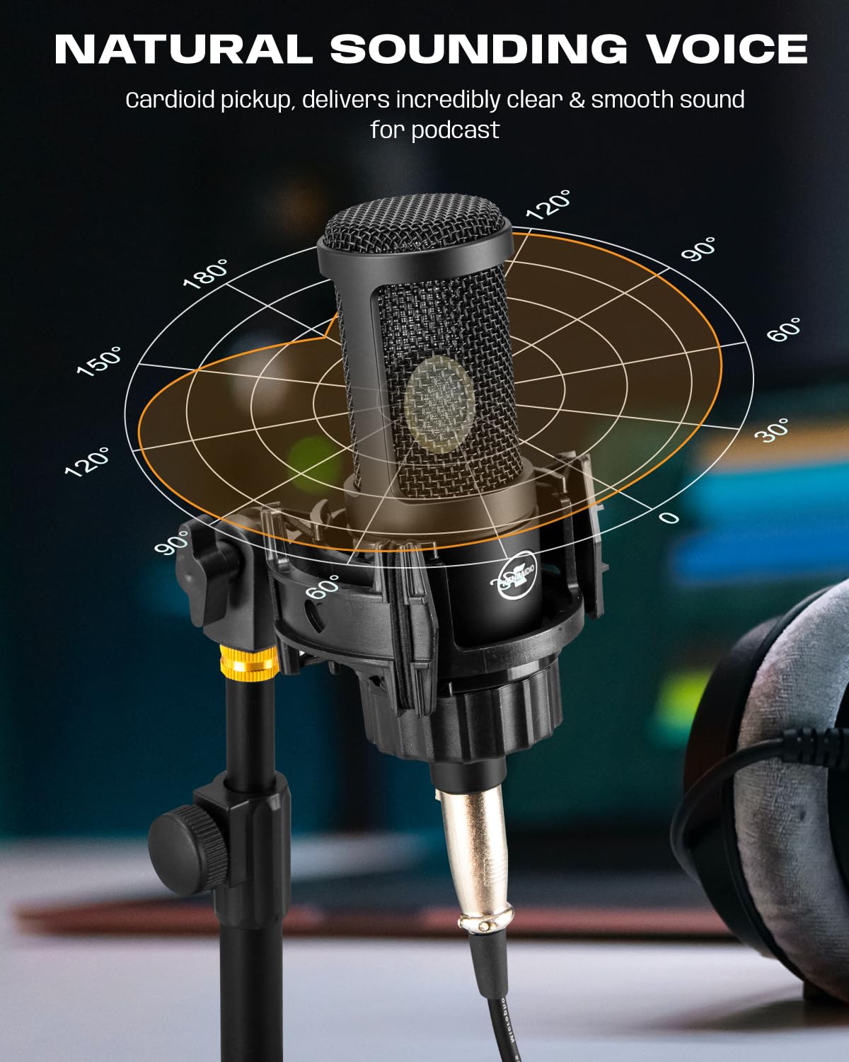 XLR Condenser Microphone with 26mm Large Diaphragm Cardioid Recording Studio Mic Kit R902160