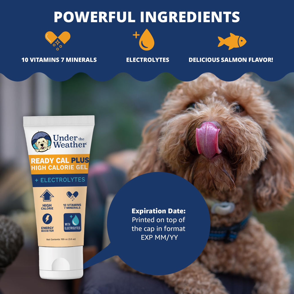 Electrolytes Gel for Dogs 3.5 Oz Tube C114382