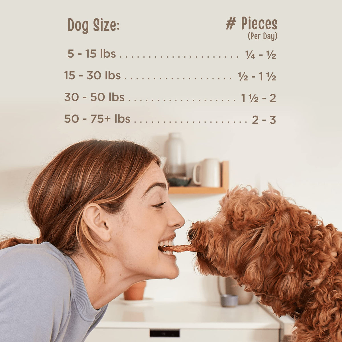 Chicken Fillet Dog Treats 48 oz Z85275