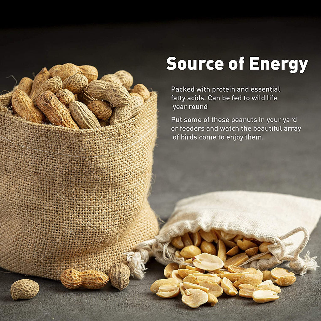 25 Pound Bag Raw Unsalted In-Shell Peanuts R168532