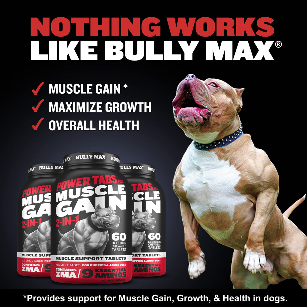 Liquid Weight Gainer 16oz and Muscle Builder Tablets 30ct T596418