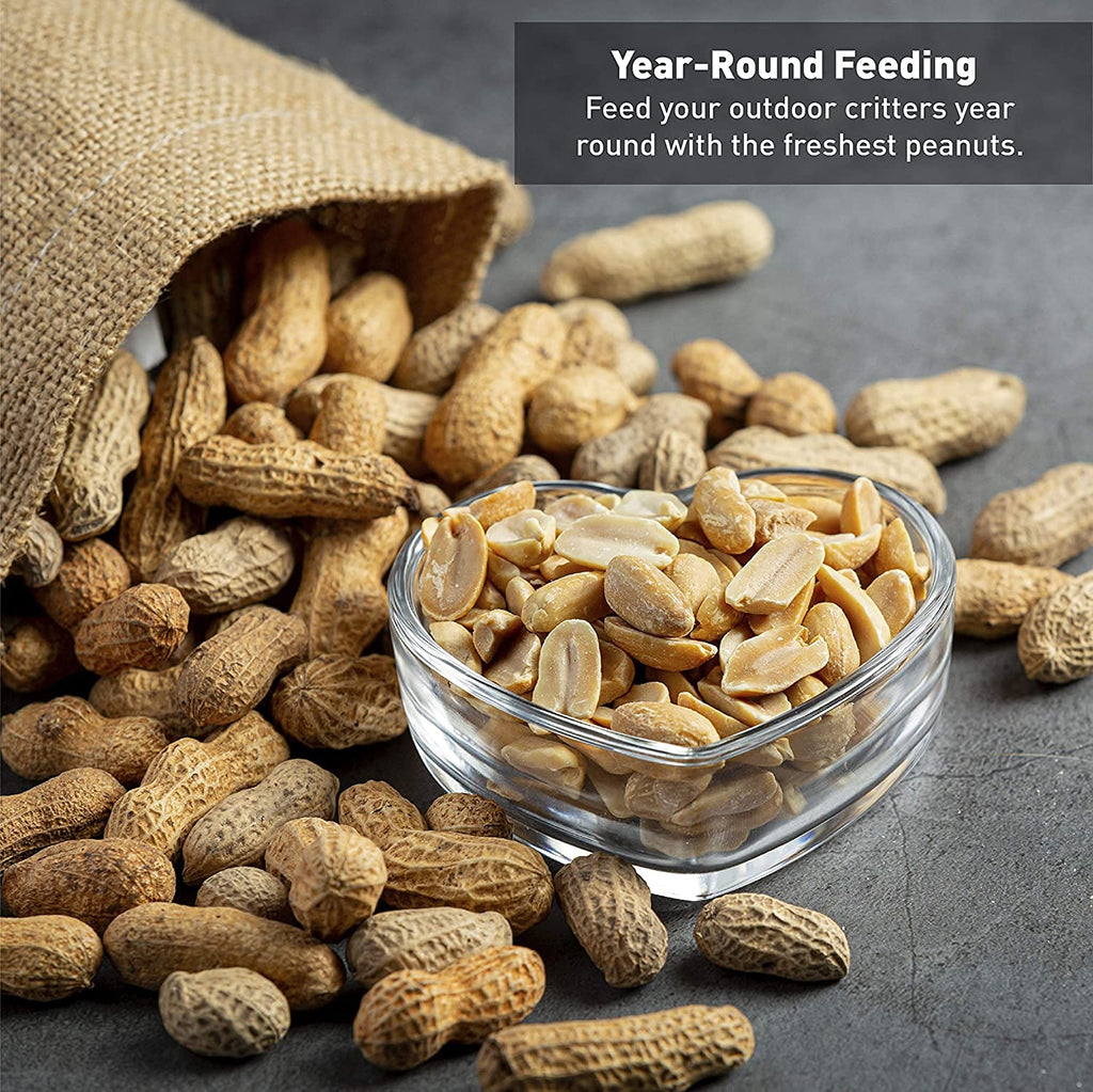 25 Pound Bag Raw Unsalted In-Shell Peanuts R168532