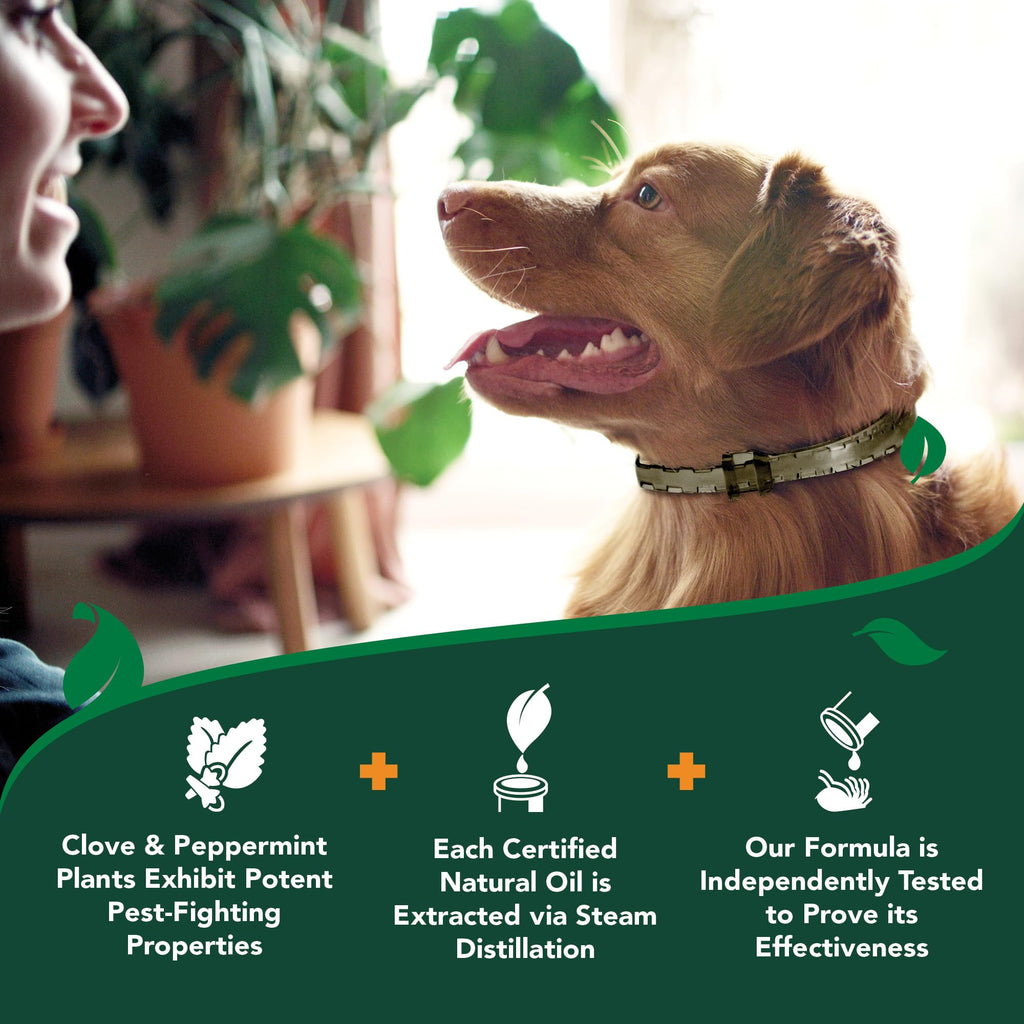 Plant-Based Flea & Tick Prevention Collar for Dogs K380539