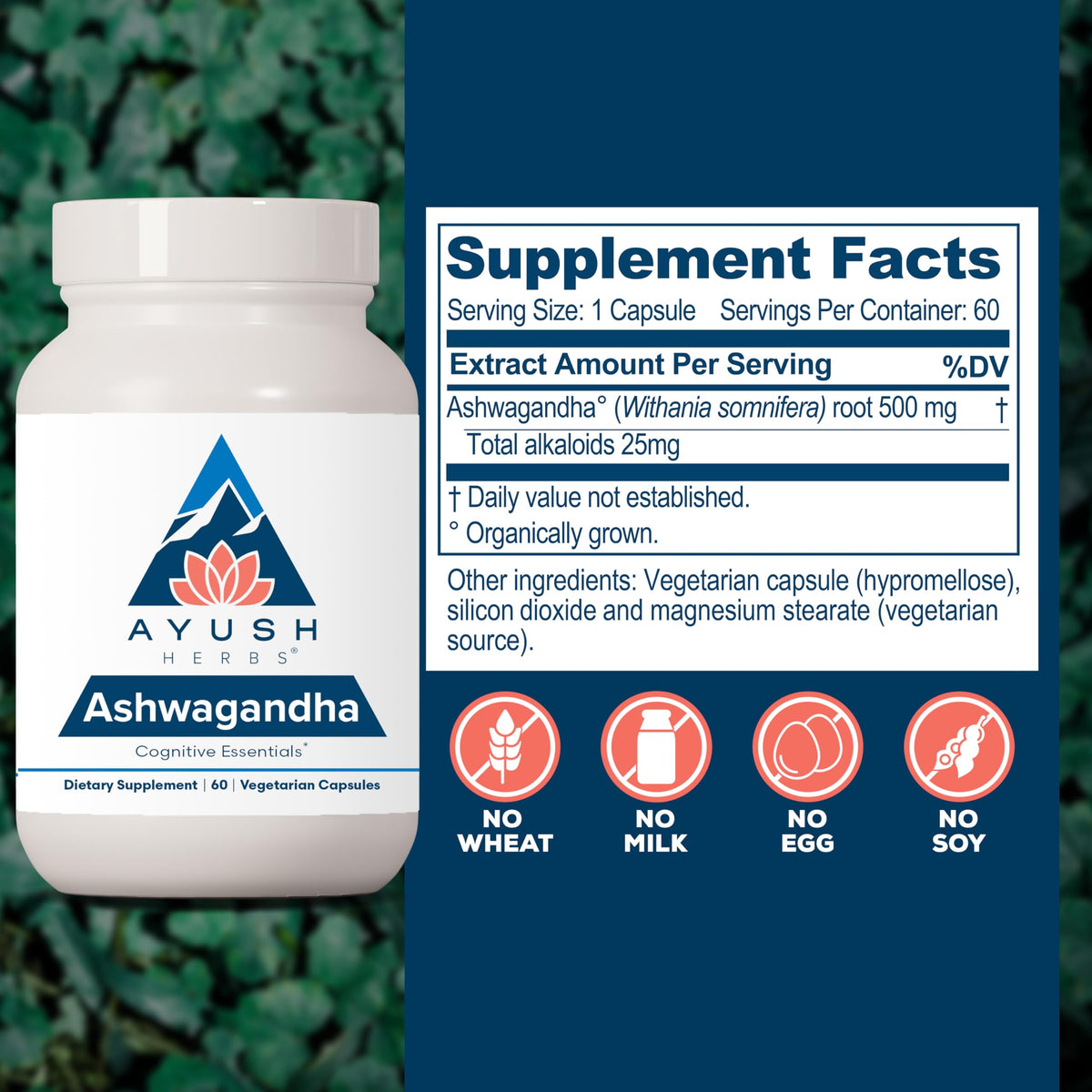 Ashwagandha Capsules 500mg 60 Servings T3599