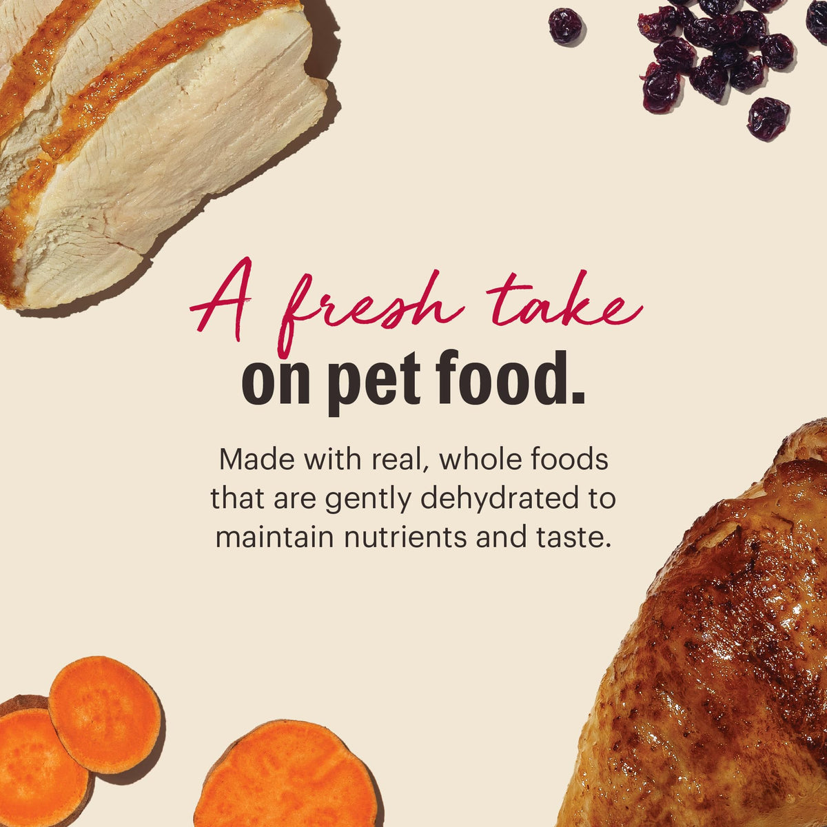 Dehydrated Grain Free Turkey Cat Food I326