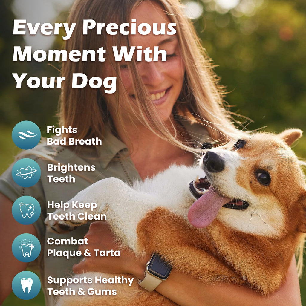 Dog Teeth Cleaning Powder, Dental Powder and Breath Freshener, 200 Grams Y109268