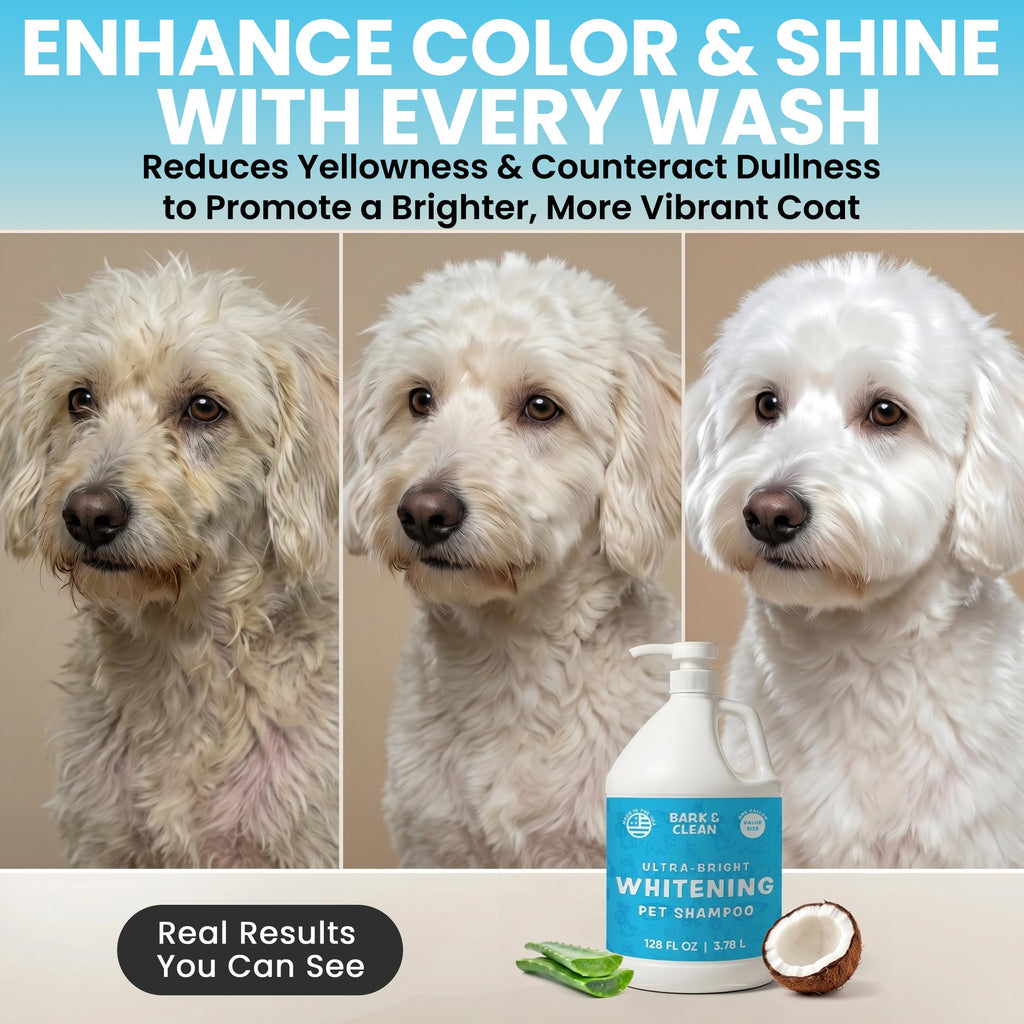 Whitening Dog Shampoo with Pump, 1 Gallon Aloe Coconut Q2389