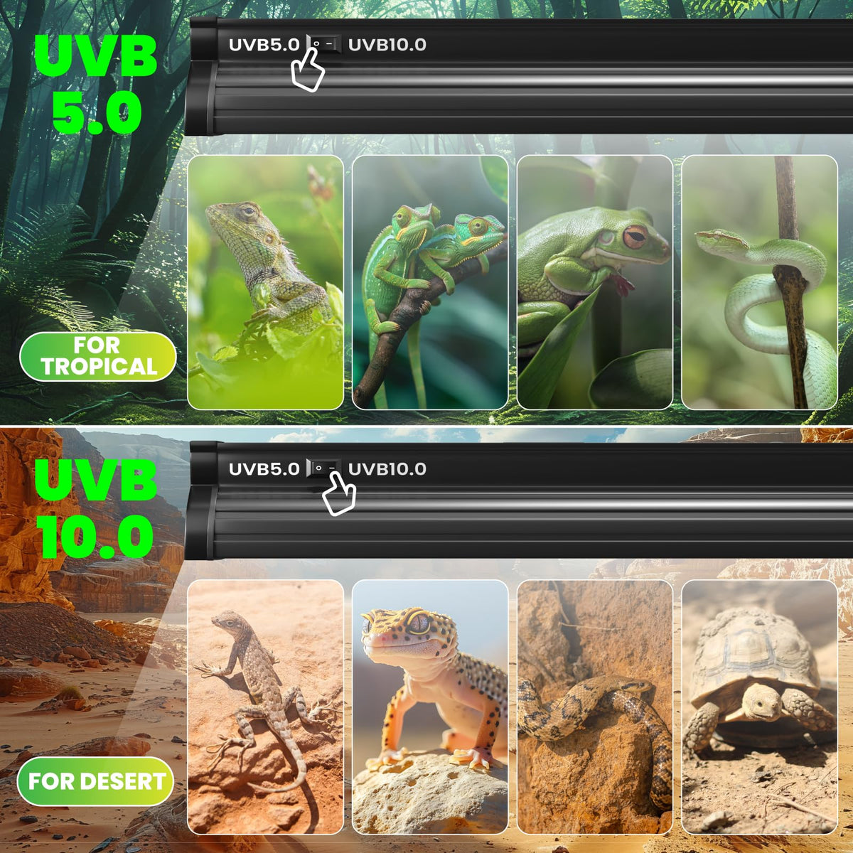 8W T5 UVB Reptile Light B700