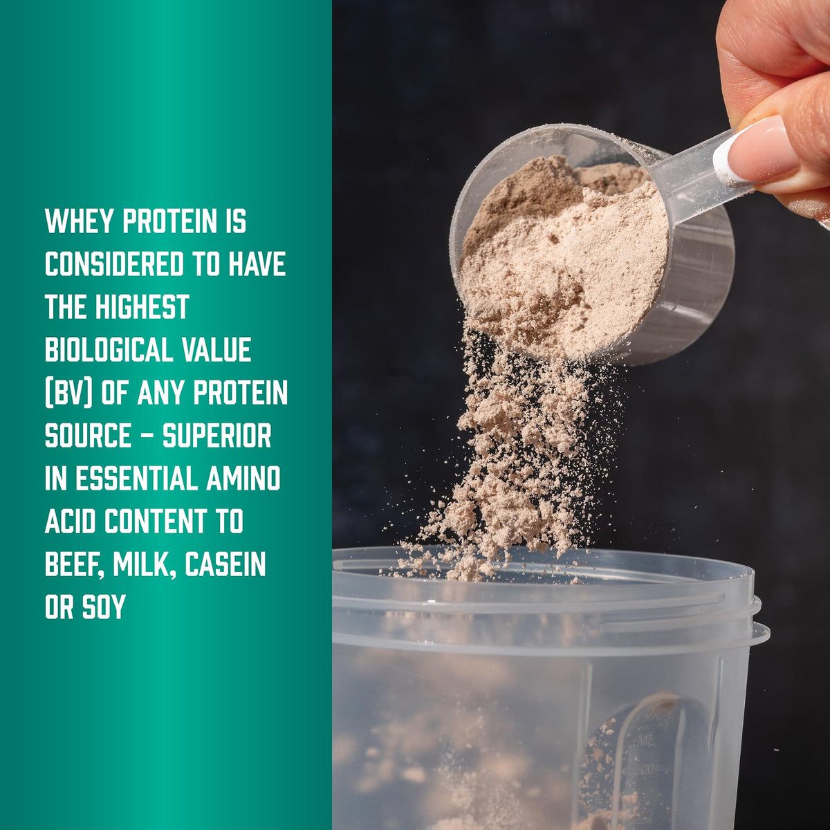 Whey Protein Isolate 25 g With BCAAs Chocolate 5 lbs S42089