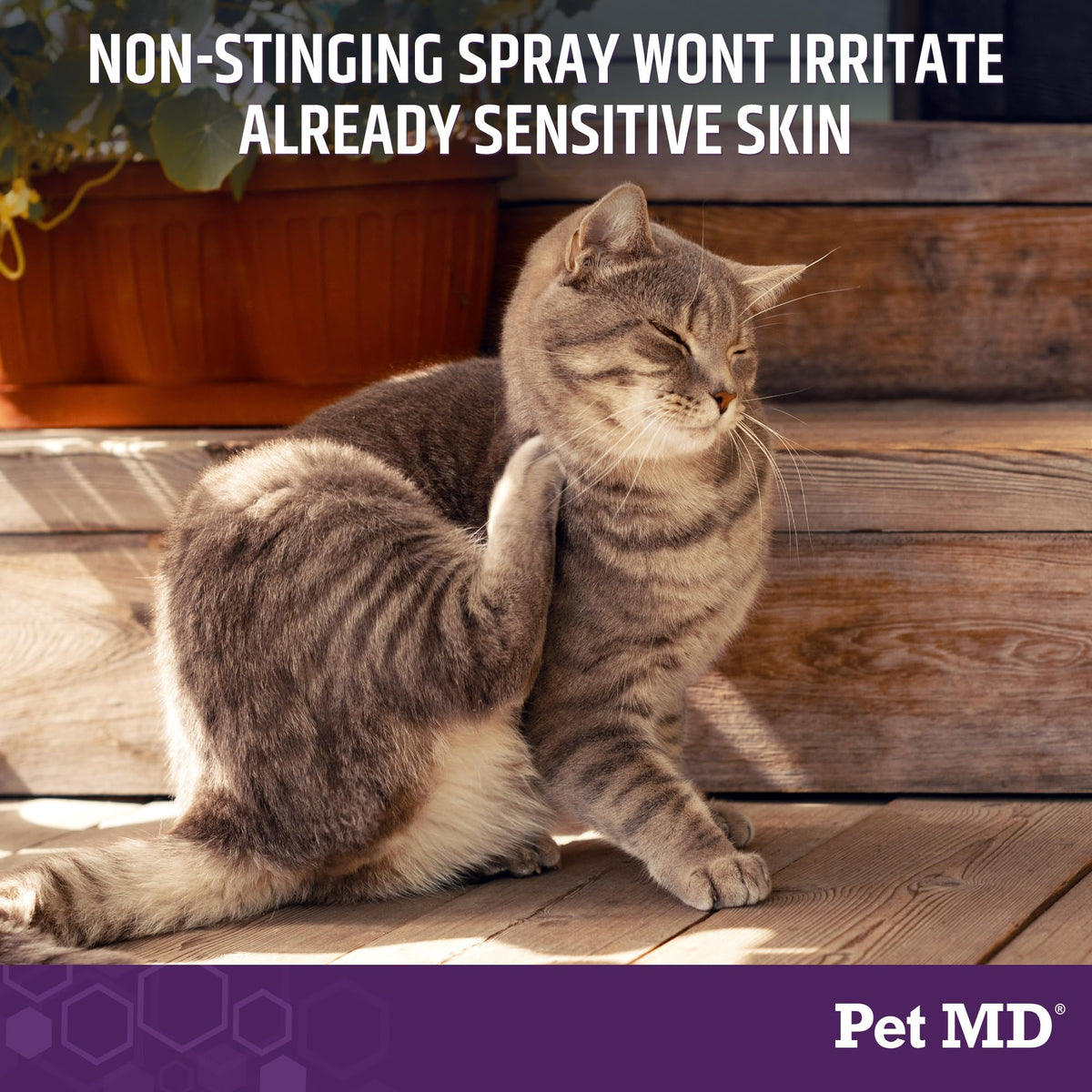 Hypochlorous Acid Spray for Dogs & Pets 4oz L874