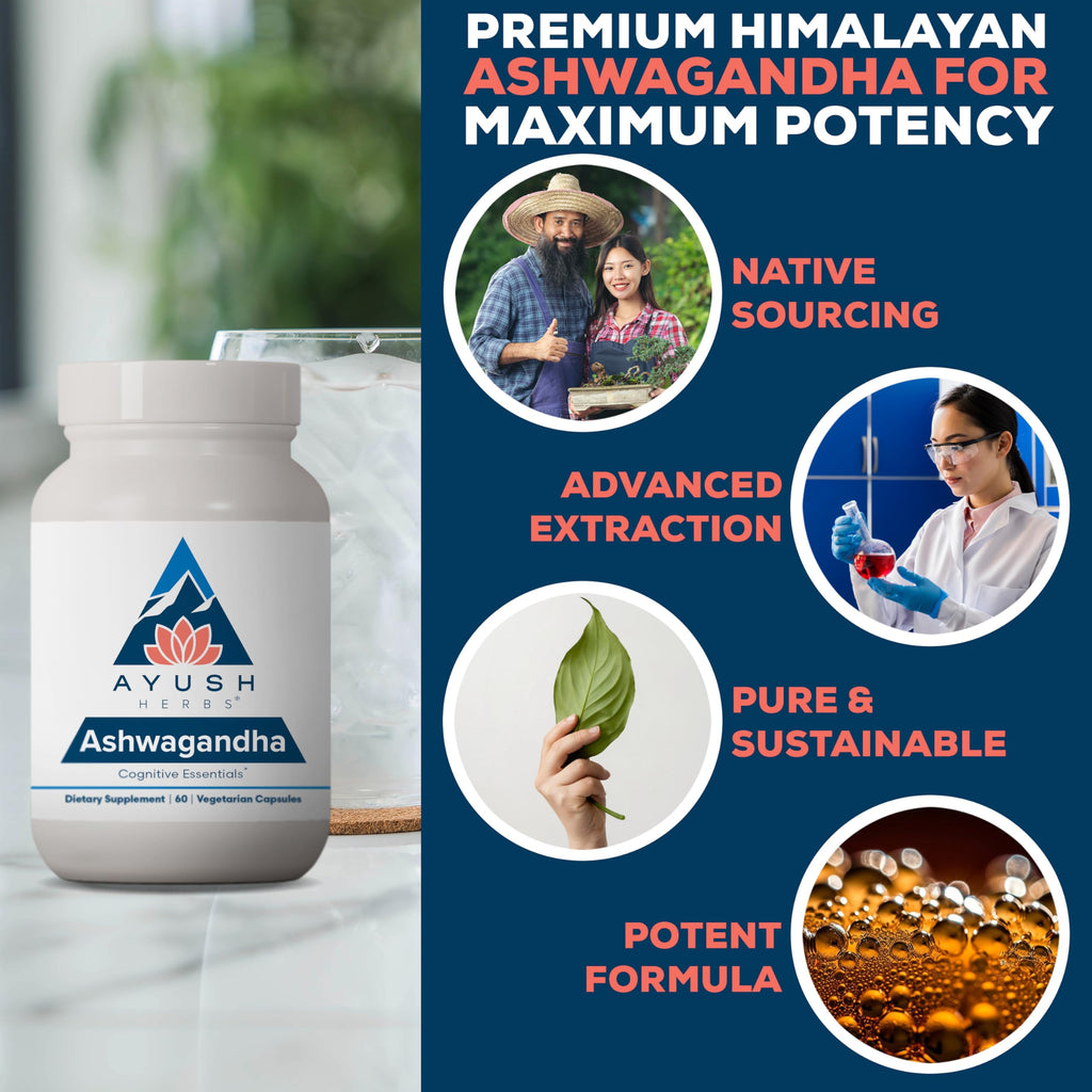 Ashwagandha Capsules 500mg 60 Servings T3599