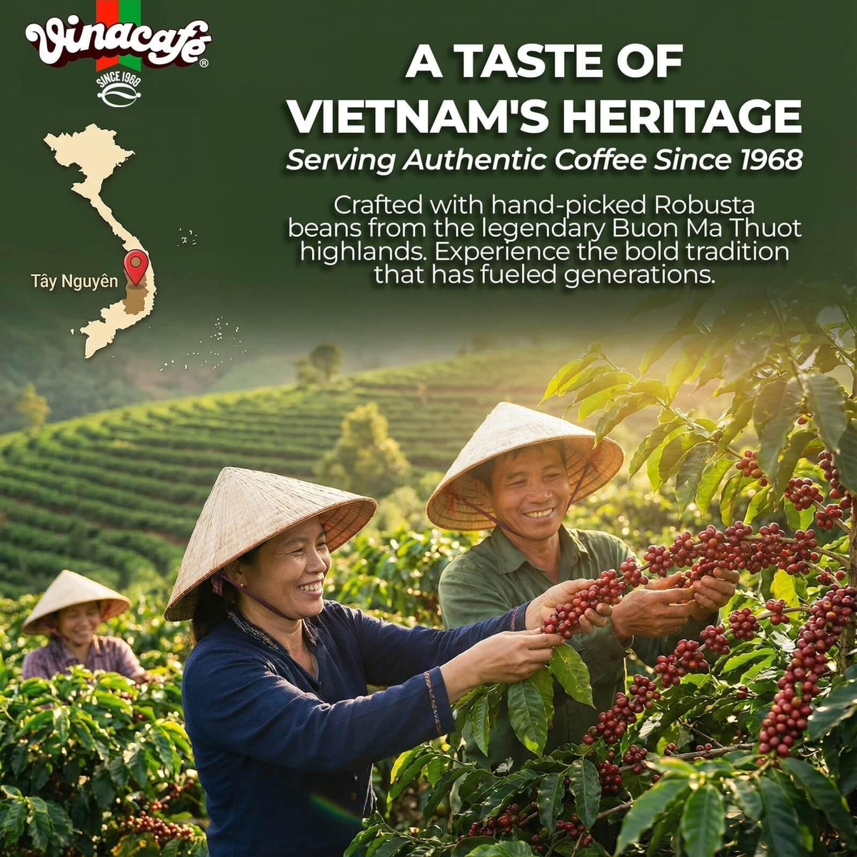 Instant Coffee Mix 3 in 1 V24259