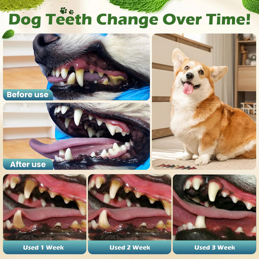 Dog Teeth Cleaning Powder, Dental Powder and Breath Freshener, 200 Grams Y109268