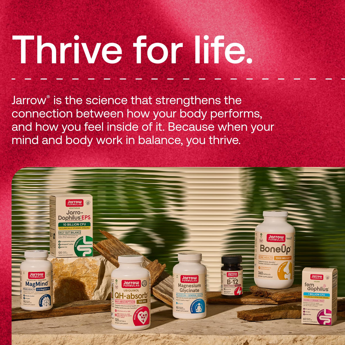 Milk Thistle 150mg 200 Capsules D600