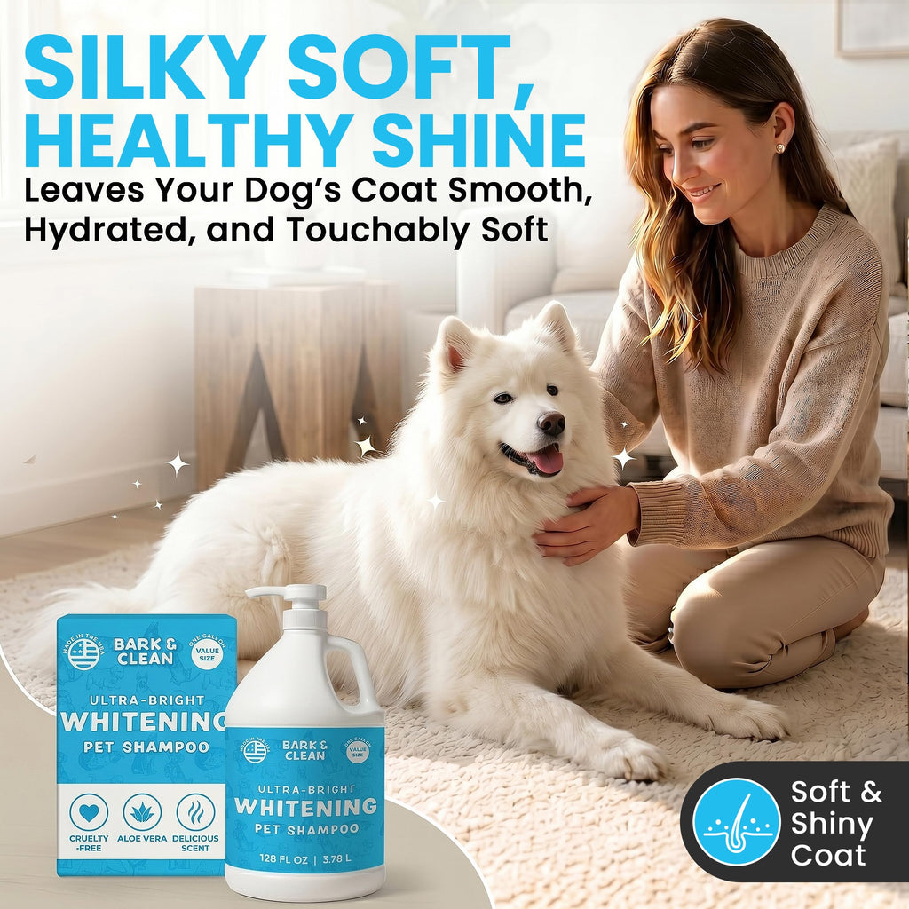 Whitening Dog Shampoo with Pump, 1 Gallon Aloe Coconut Q2389