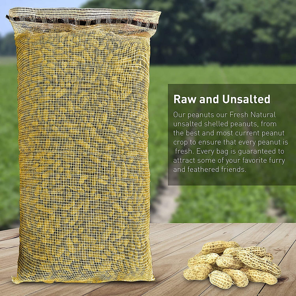 25 Pound Bag Raw Unsalted In-Shell Peanuts R168532