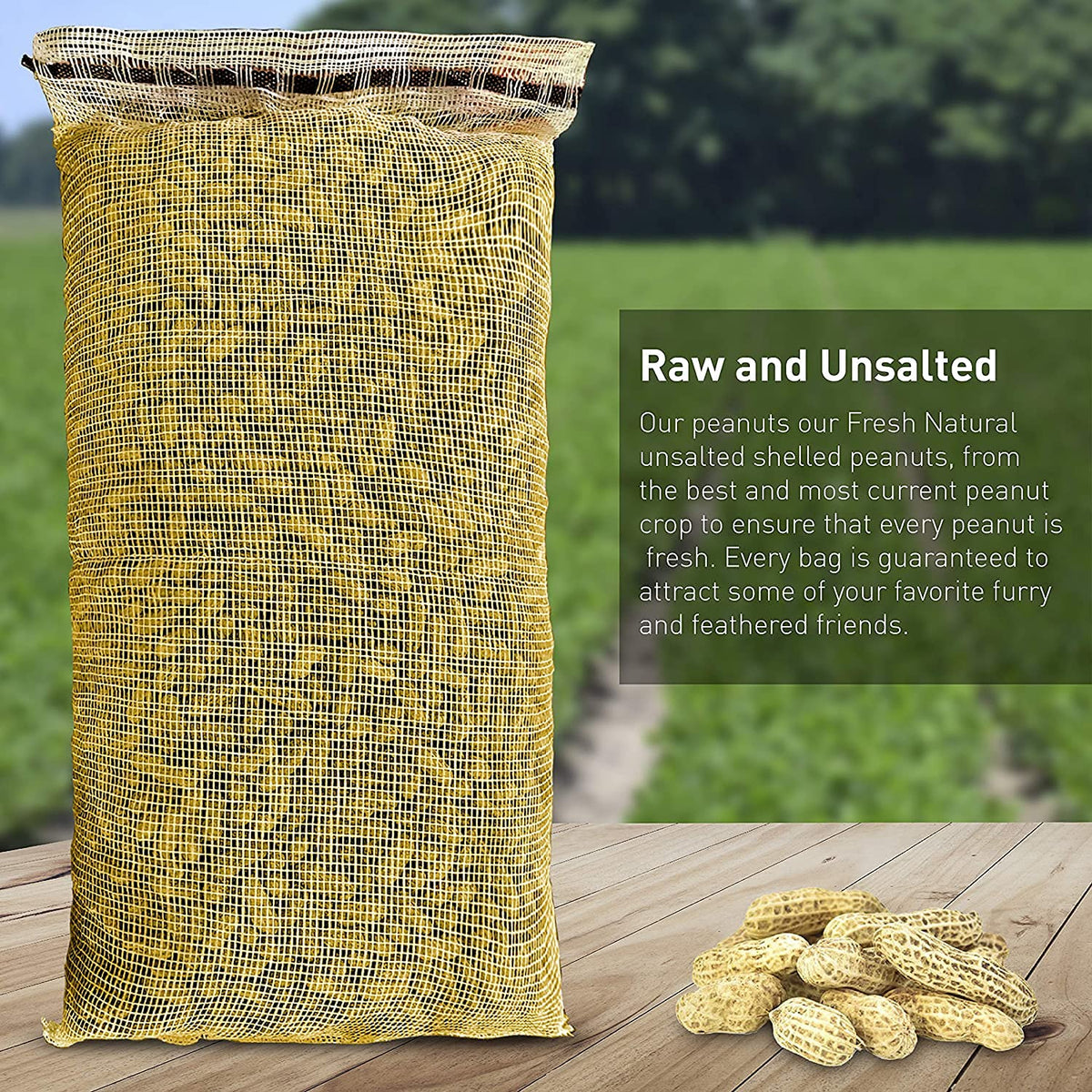25 Pound Bag Raw Unsalted In-Shell Peanuts R168532